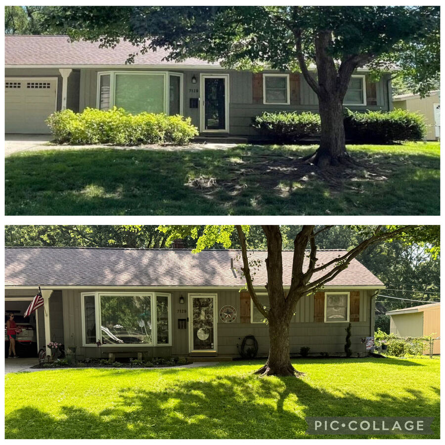 Landscape and brush cleanup before and after
